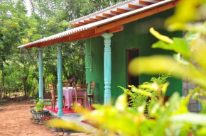 Organic farm Wish Prabha lake view homestay
